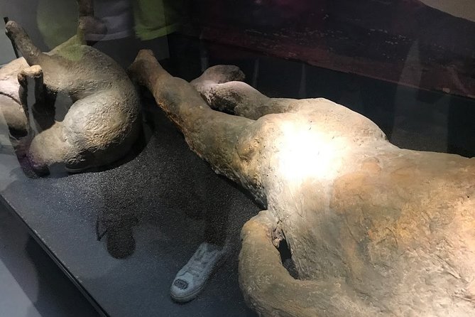 A Day at the Museum - Natural History Museum London - Meeting at Cromwell Road and Getting There Without a Headache