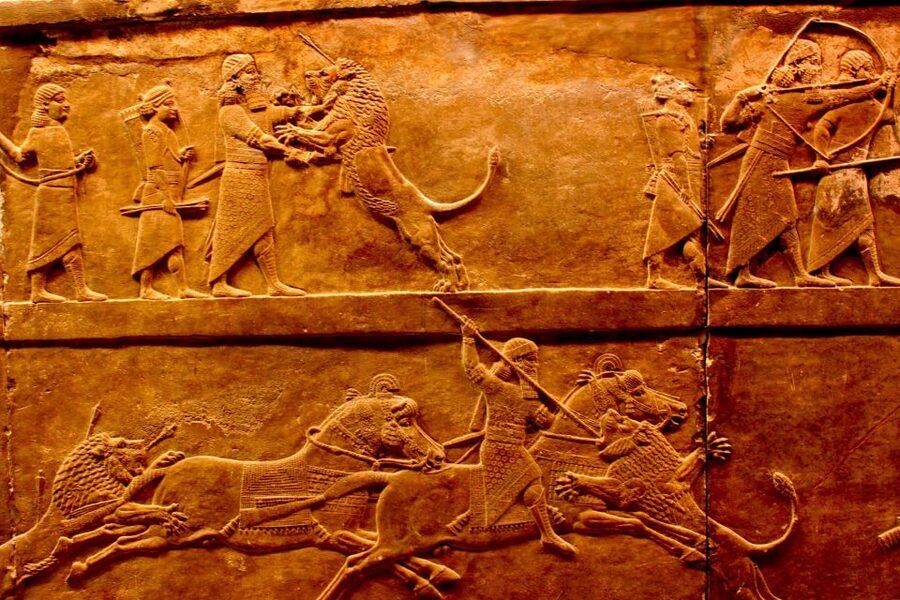 British Museum & Camden Town - Private Tour in Italian - Price and value for a private group up to 4