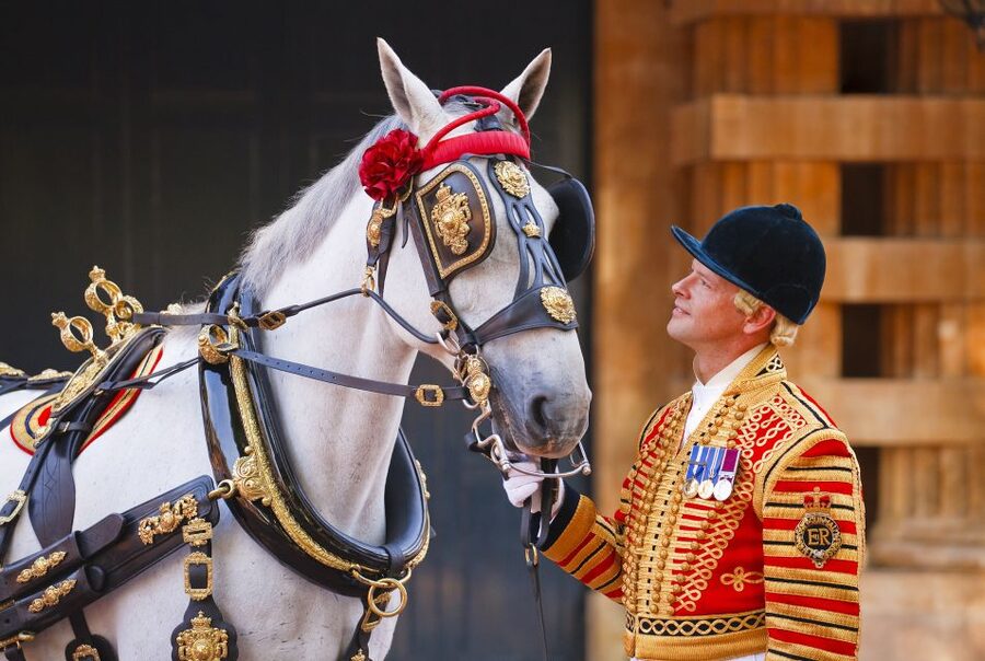 Buckingham Palace: The Royal Mews Entrance Ticket - Royal Mews entrance: exchange your voucher, then plan for security