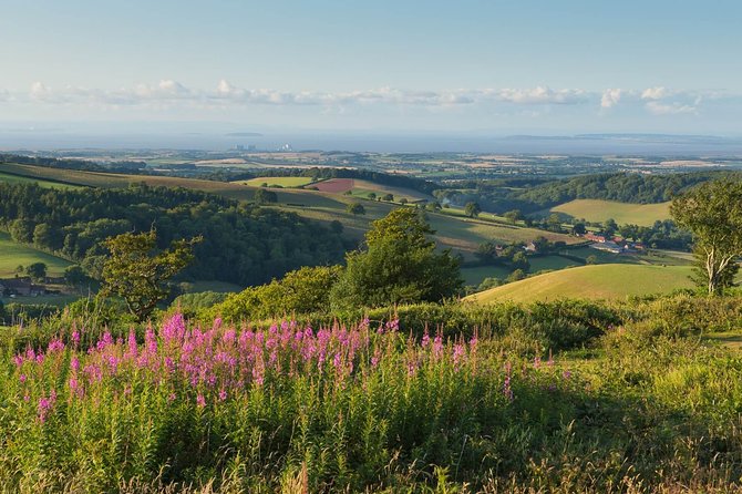 Canterbury & the White Cliffs of Dover Tour (Small-Group) - Deal, Kent: A Seaside Break With Roman-Era Roots