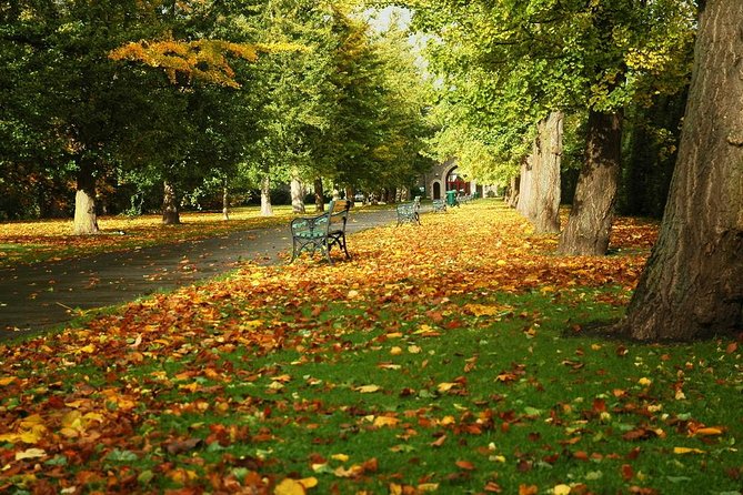 Cardiff Day Tour from London with Local Guide (Visit Wales) - Cardiff Castle with included entry: make your one hour count
