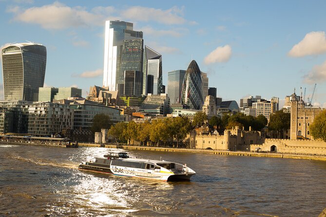 Changing of Guards, Big Ben, Tower of London, Beefeaters & Cruise - Changing of the Guard views and what to expect when it changes