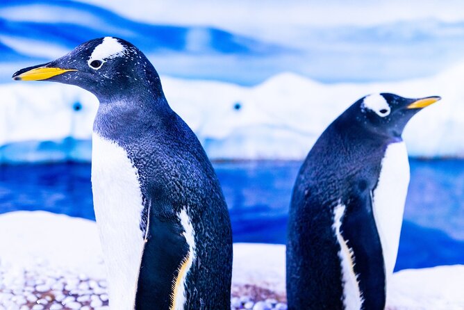 Combo Ticket: Madame Tussauds & SEA LIFE London Aquarium - Madame Tussauds: 150 lifelike figures across 3 immersive floors
