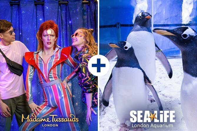 Combo Ticket: Madame Tussauds & SEA LIFE London Aquarium - SEA LIFE London Aquarium in 1 focused hour