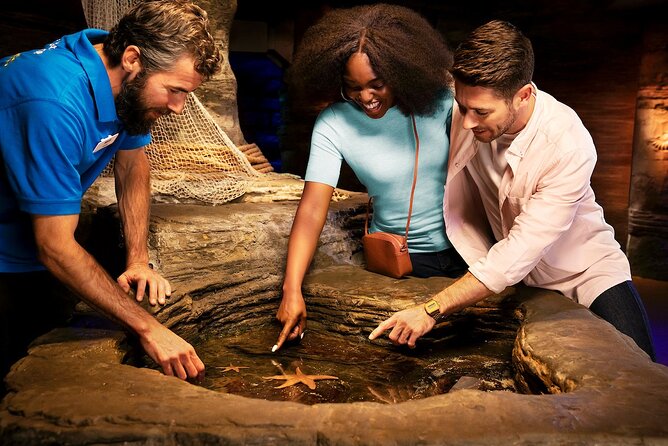 Combo Ticket: Madame Tussauds & SEA LIFE London Aquarium - Timing, ticket flow, and how to avoid a stressed day