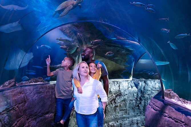 Combo Ticket: Madame Tussauds & SEA LIFE London Aquarium - Price and value: does $80.13 feel worth it?