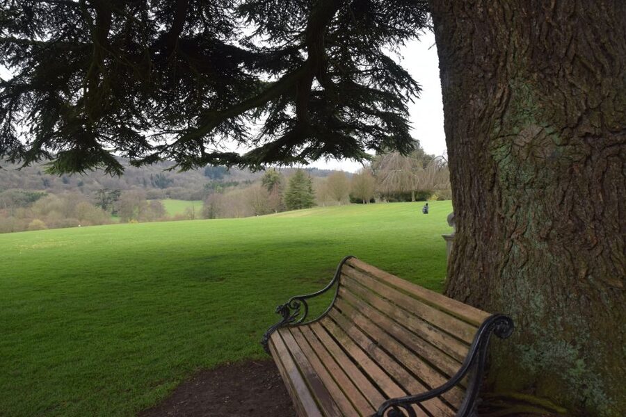Downton Abbey and Village Small Group Tour from London - Who this tour suits best, and who might prefer something else