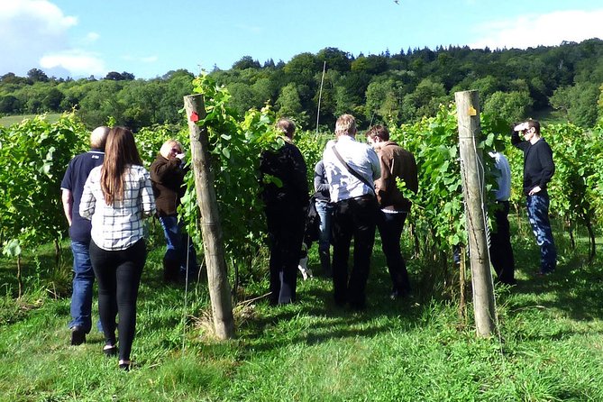 English Wine and Cheese Tour from London - Pacing and what to expect from each time block