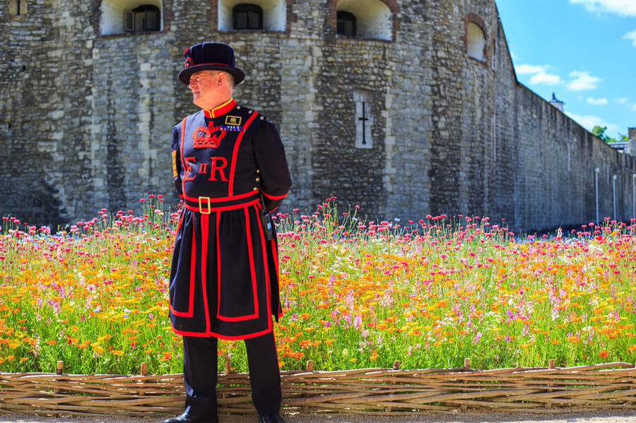 Exclusive Beefeater Meet & Greet at the Tower of London - Who should book this Tower of London Beefeater experience