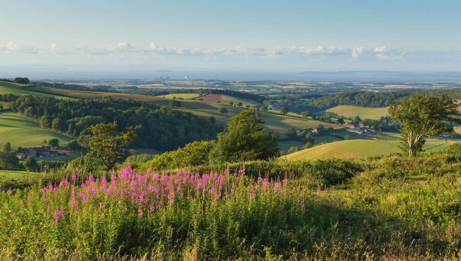 From London: Canterbury & White Cliffs of Dover Tour - Kent in one day: why Canterbury, Deal, and Dover fit together