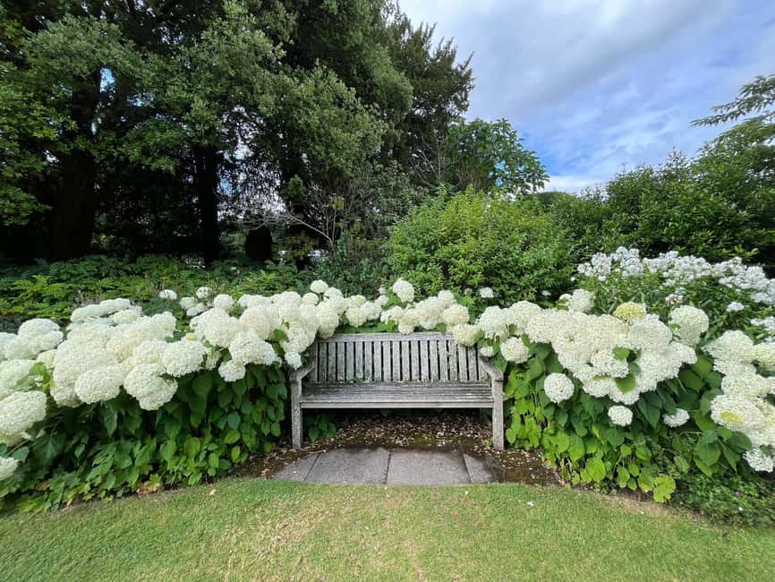 From London: Day Trip to Downton Abbey, Oxford and Bampton - Who this day trip fits best