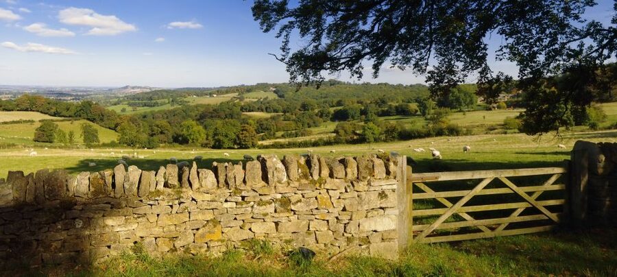 From London: Full-Day Cotswolds Small-Group Tour - My Booking Verdict: Should You Book This?