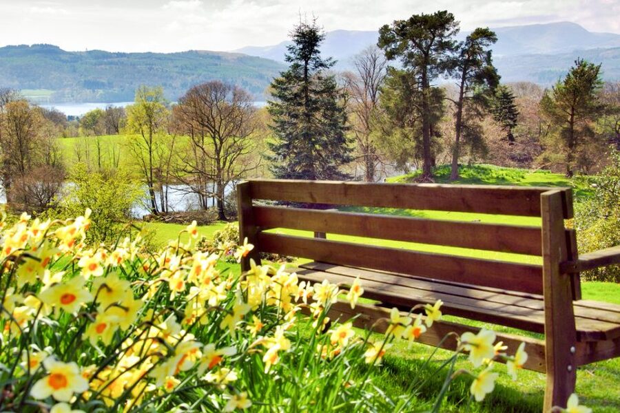 From London: Lake District Tour with Cream Tea & Cruise - Windermere by boat: the 1-hour cruise that makes the fells click