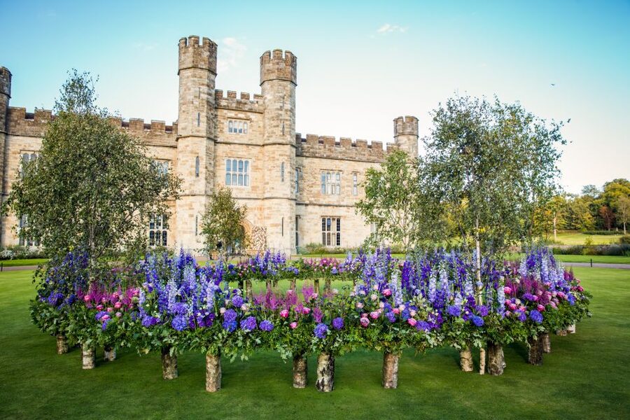 From London: Leeds Castle, Canterbury, Dover and Greenwich - Dover White Cliffs: the best views, and why you might want more time