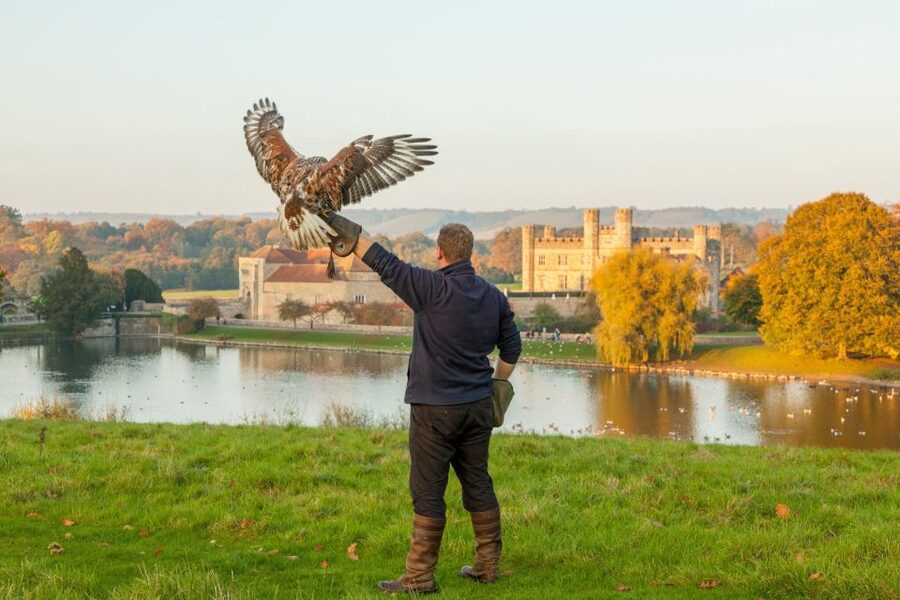 From London: Leeds Castle, Canterbury, Dover and Greenwich - Leeds Castle on two islands: what to focus on before you go