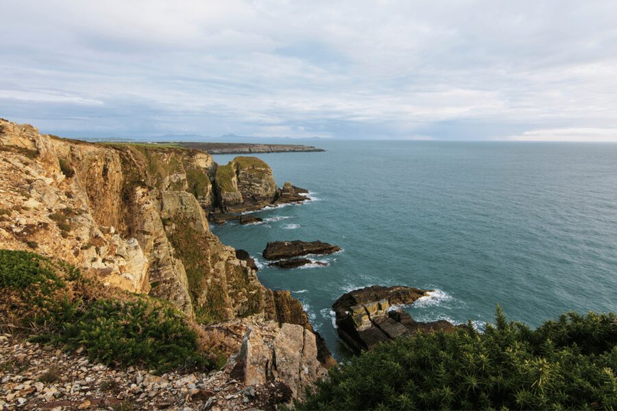 From London: North Wales, Snowdonia & Caernarfon Castle Tour - Betws-y-Coed: free time in the heart of the park
