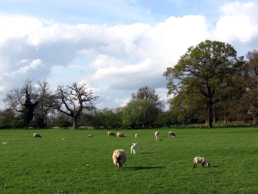 From London: Oxford, Stratford-upon-Avon & Cotswolds Trip - Should You Book This London-to-Stratford, Cotswolds, and Oxford Trip?