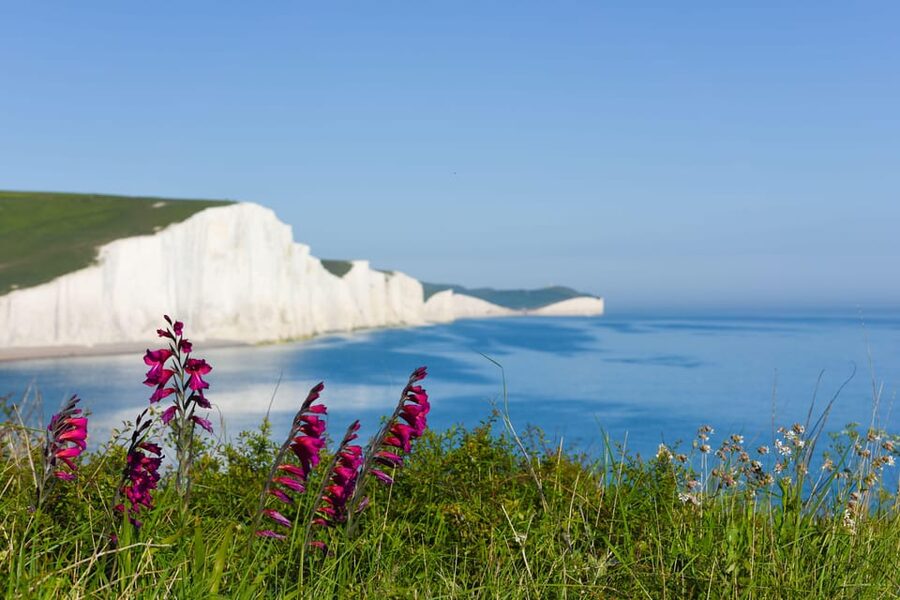 From London: Seven Sisters and Brighton Full-Day Tour - Key highlights I’d plan around