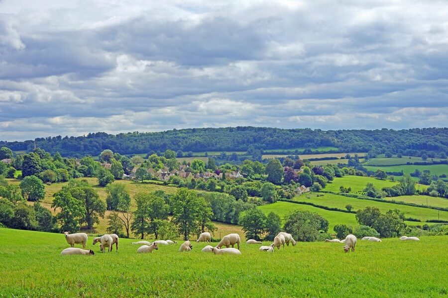 From London: Small Group Stonehenge, Bath & Cotswolds Tour - Castle Combe in the Cotswolds: short visit, big photos, easy wandering