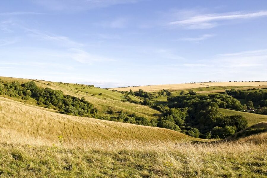 From London: Stonehenge and Bath Day Trip with Ticket - Value and trade-offs: what $114 really buys