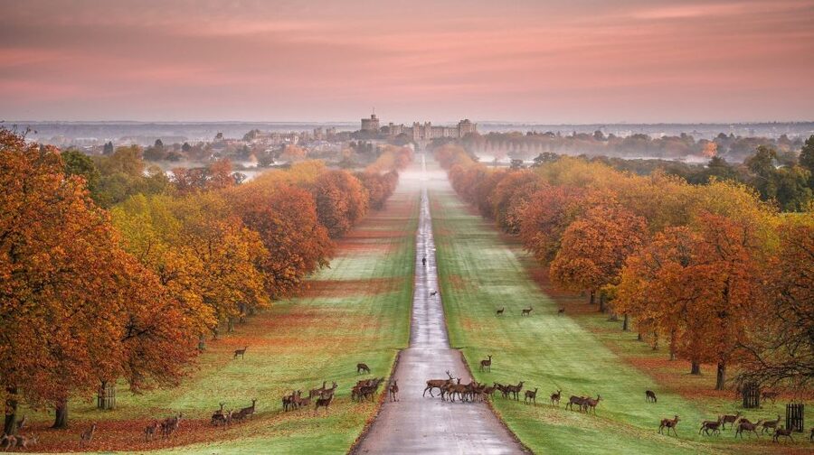 From London: Stonehenge, Windsor and Salisbury Guided Tour - Bus, meeting point, and the end location you should plan for