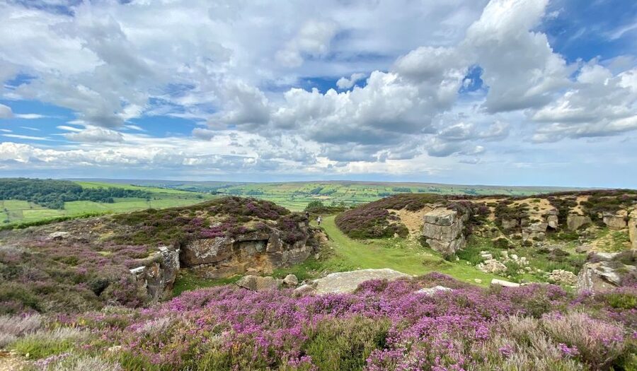 From London: The North York Moors with Steam Train to Whitby - The return across the moors: bus time, York, and the train back to London