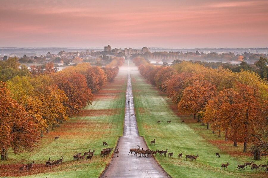 From London: Windsor Castle Afternoon Sightseeing Tour - Audio Guide in Multiple Languages, and Why It Changes Everything