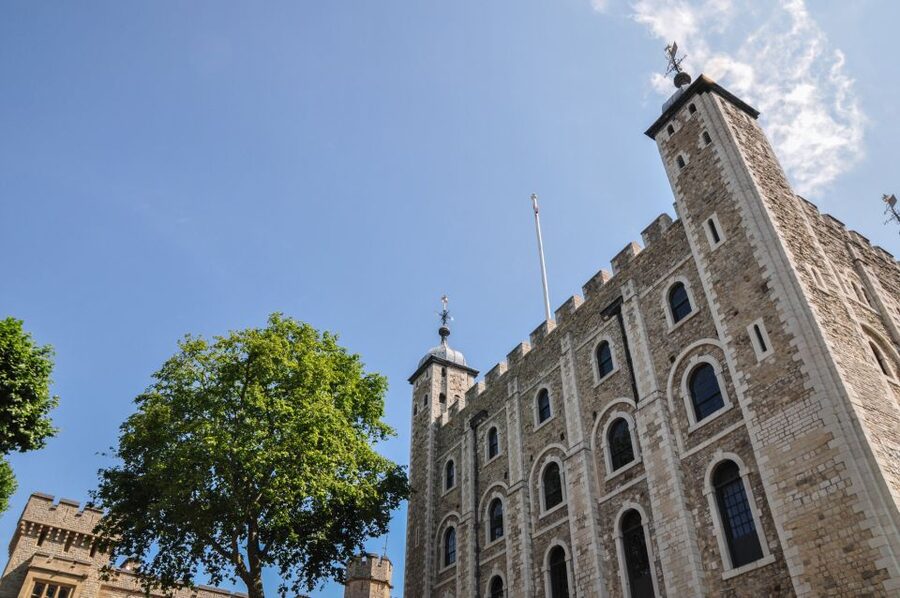 Full-Day London Experience: Tower, St. Pauls, Cruise & Guard - Lunch time, and how to use the free window without panicking