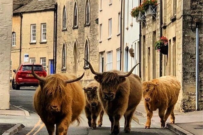 Full-Day Windsor Castle & Cotswolds Driving Tour - Best Day-to-Day Reality: What You Can Expect to Feel Like