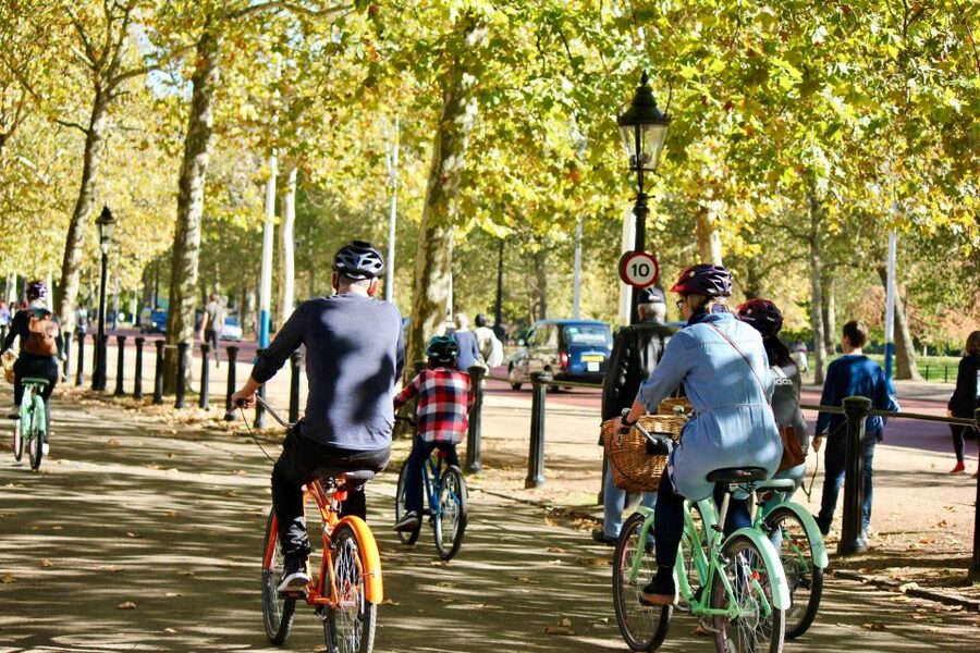 Grand London Half-Day Bicycle Tour - The early hits: London Eye, Big Ben, and Parliament