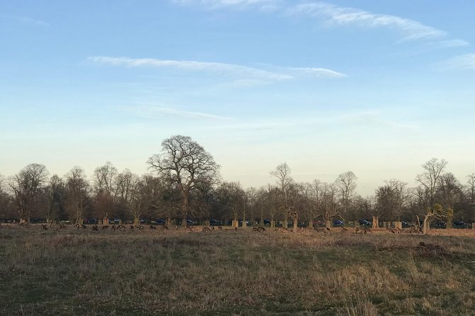 Hampton Court Palace Grounds Bike Tour - Hampton Court Palace grounds, but by bike