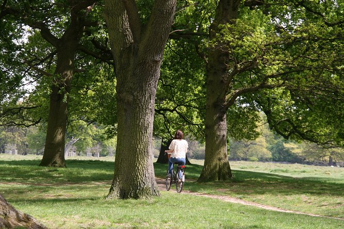 Hampton Court Palace Grounds Bike Tour - Practical tips that make a difference on this ride