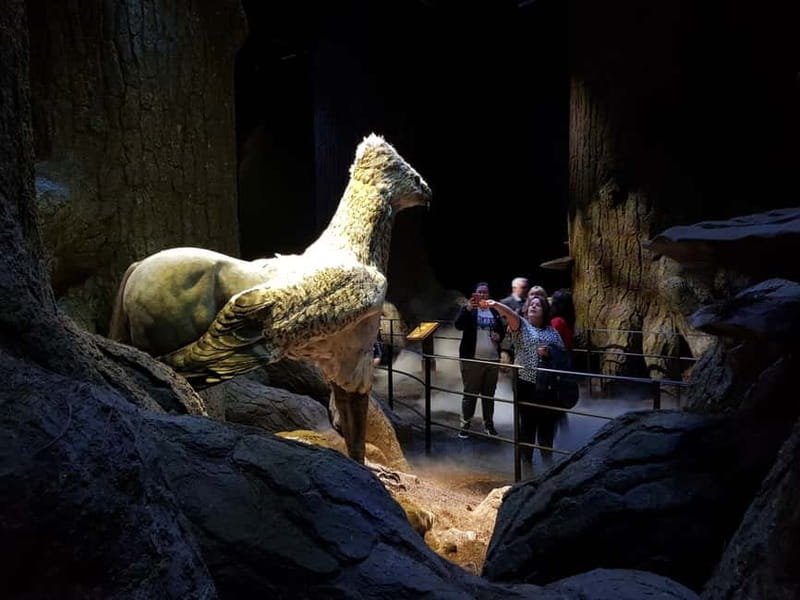 Harry Potter Studio Ticket & Tour of London Film Locations - Key Things You’ll Notice on This Tour