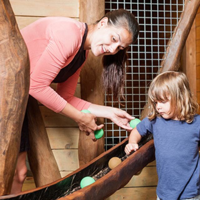 Hobbledown Heath One-Day Entry Ticket - The Great Barn and Whammock: indoor play that changes the day