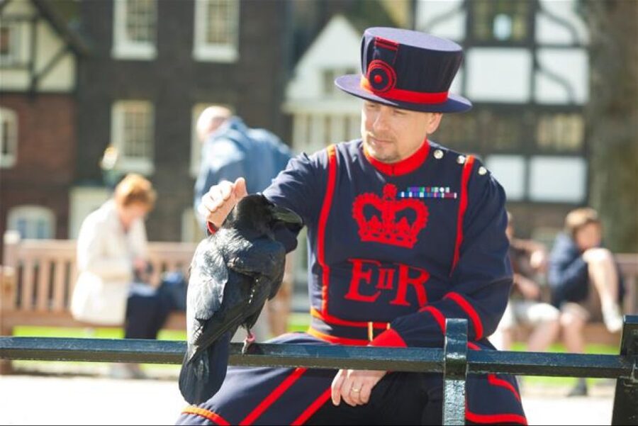 Hop on Hop off London Bus Tour & Tower of London - Tower of London admission: Crown Jewels access and smart timing