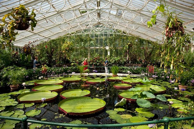 Kew Gardens Entrance Ticket - Why Kew Gardens entrance tickets are worth it