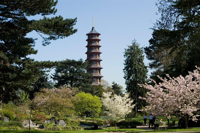 Kew Gardens Entrance Ticket - The “must-do” treetop views: Xstrara Treetop Walkway and Rhizotron