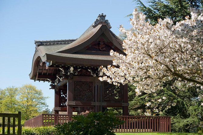 Kew Gardens Entrance Ticket - Season and weather: why winter feels different at Kew