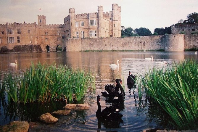 Leeds Castle, Canterbury and White Cliffs of Dover - Driver Guide - Price and What You Actually Get for $2,387.53 Per Group