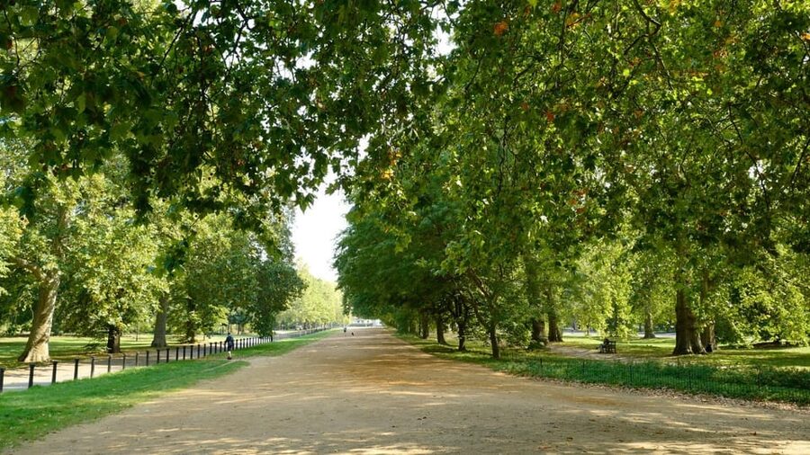 London: 24-Hour Hop-On Hop-Off Bus Pass - Landmarks Tour: Big Ben, Westminster, St Paul’s, the Thames, and the Tower loop