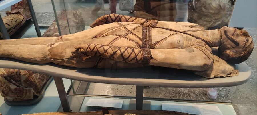 London: British Museum Private Tour for Kids & Families - Who should book this kids and family tour?