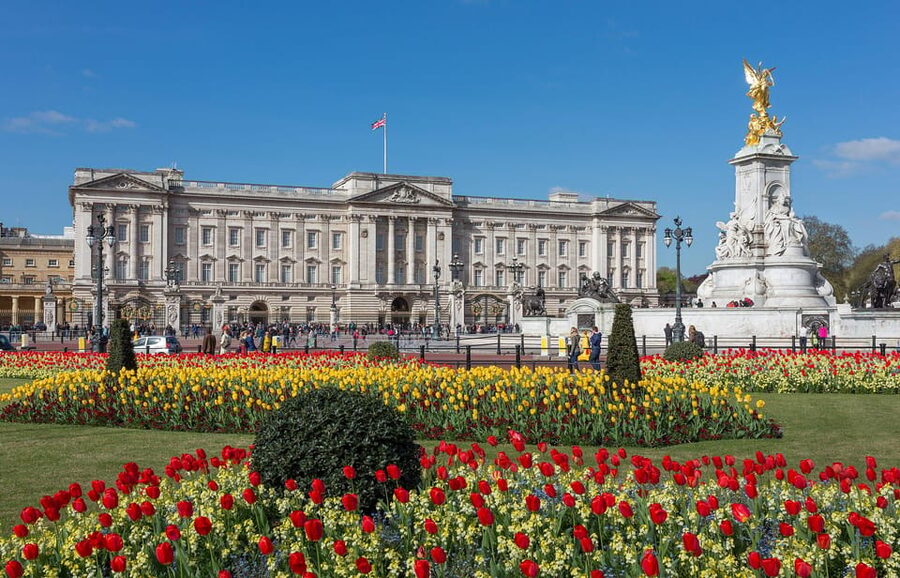 London: Changing of the Guard and Royal Palaces Walking Tour - Changing of the Guard and royal palaces in 2 hours