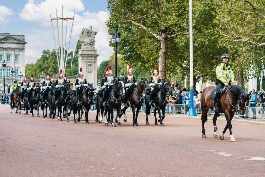 London: Changing of The Guard Tour - The symbols, regiments, and small details you will actually notice