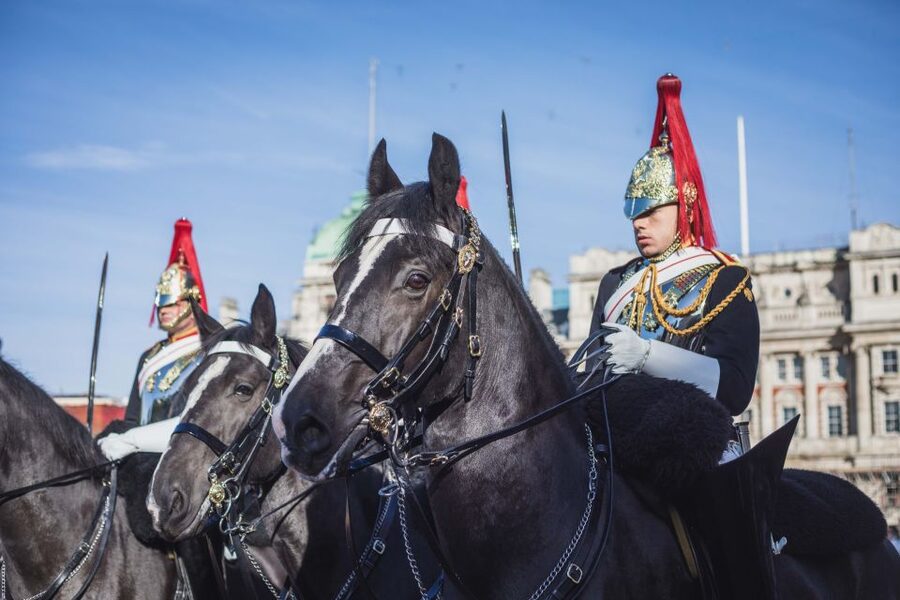 London: Changing of the Guard Walking Tour - Key things to know before you go