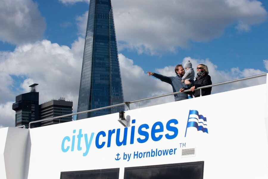 London: Christmas Day Sightseeing Cruise - Key highlights to look forward to