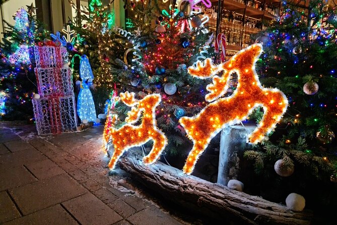 London Christmas Lights Bike Tour with Local Guide - Weather and What to Wear for a Night Ride