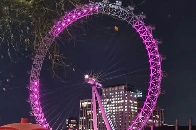 London Christmas Lights Private Guided Taxi Tour - Starting at 36 St Martin’s Lane, 4:00 pm, in a black electric taxi