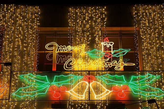 London Christmas Lights Private Tour by Traditional Black Cab - What the Driver-Guide Adds (and Why It Matters)