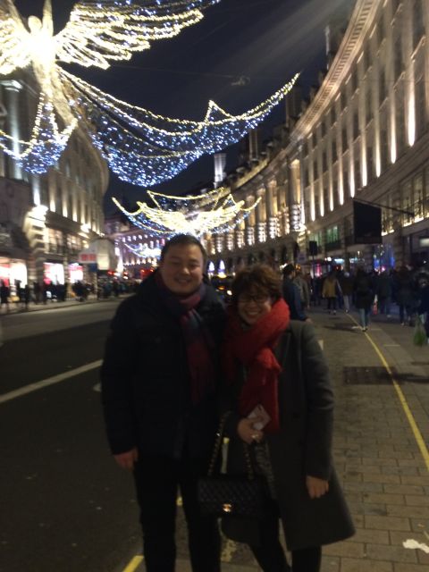 London: Christmas Lights Tour in a Black Cab - Wheelchair accessibility, in plain terms