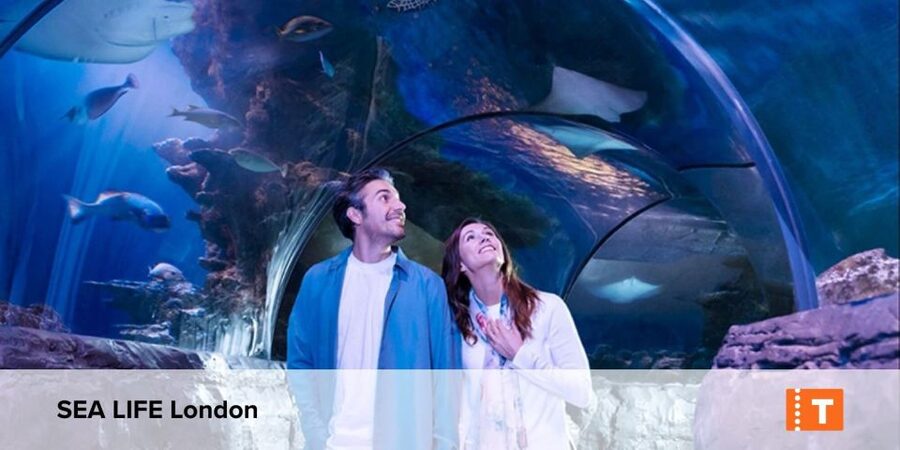 London City pass: Top attractions, Hop on Hop off & tours - London City Pass in plain English: what you really get